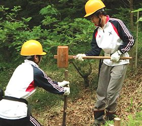 普通部の森造りと自然観察<br>大学の日吉キャンパスにあるおよそ14haの森。その中に約2ha普通部の森があります。大学の生物学教室の先生に教えを受けながら動植物の観察を交えつつ雑木林管理の作業を学んでいます。