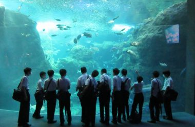 新江ノ島水族館にて