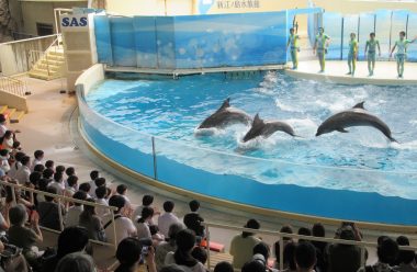 新江ノ島水族館にて