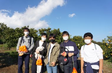 小田原周遊とみかん狩り